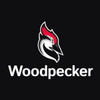 Automated email follow-up with Woodpecker