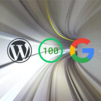 Google Page Speed Insights WordPress plugins